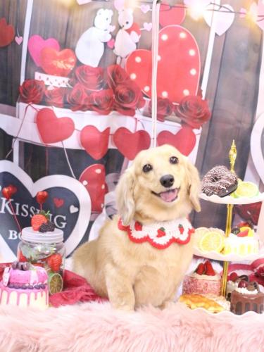 20250219こなつちゃん